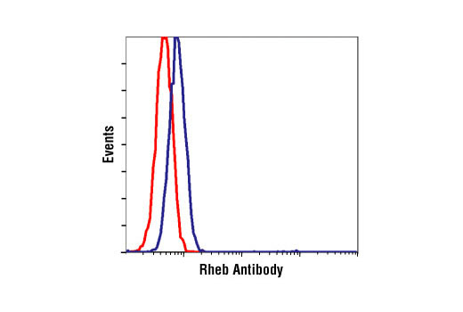 Flow Cytometry Image 1: Rheb Antibody