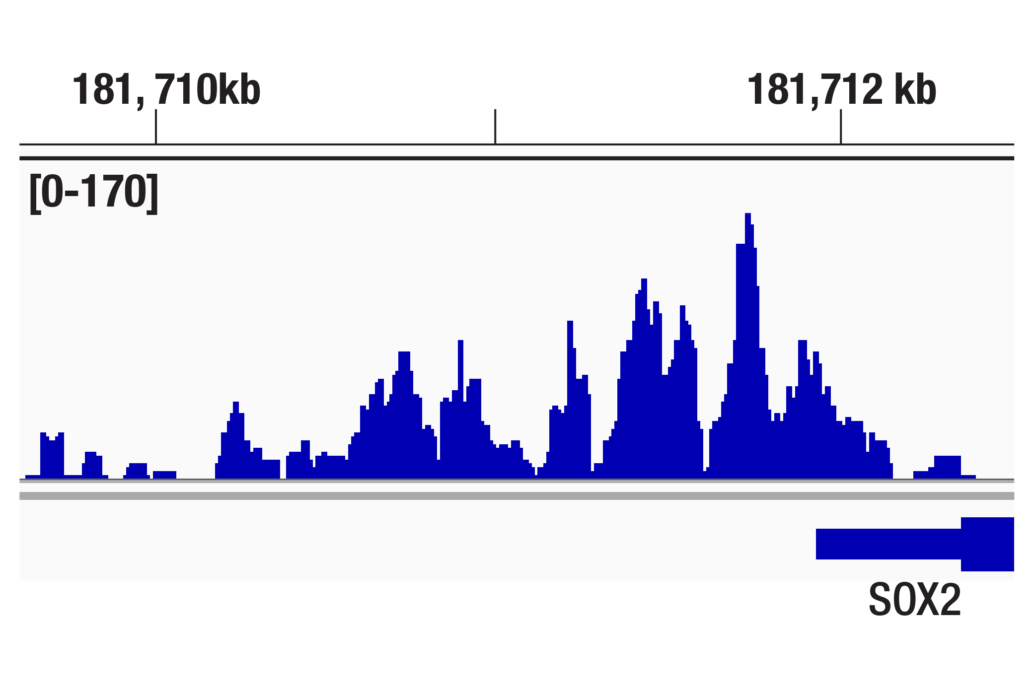CUT & Tag Image 1: Brg1 (D1Q7F) Rabbit Monoclonal Antibody