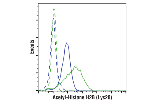 Flow Cytometry Image 1: Acetyl-Histone H2B (Lys20) (D7O9W) Rabbit mAb (PE Conjugate)
