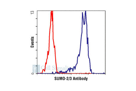 Flow Cytometry Image 1: SUMO-2/3 Antibody