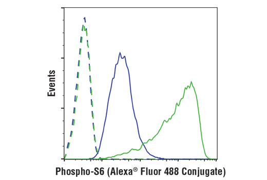 Flow Cytometry Image 1: Phospho-S6 Ribosomal Protein (Ser240/244) (D68F8) XP® Rabbit mAb (Alexa Fluor® 488 Conjugate)