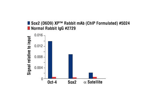 Chromatin Immunoprecipitation Image 1: Sox2 (D6D9) XP® Rabbit mAb (ChIP Formulated)