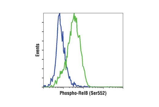 Flow Cytometry Image 1: Phospho-RelB (Ser552) (D41B9) XP® Rabbit mAb (BSA and Azide Free)