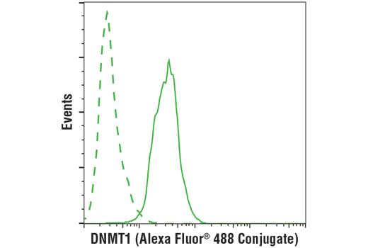 Flow Cytometry Image 1: DNMT1 (D63A6) XP® Rabbit mAb (BSA and Azide Free)