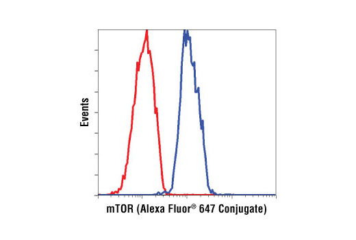 Flow Cytometry Image 1: mTOR (7C10) Rabbit mAb (Alexa Fluor® 647 Conjugate)