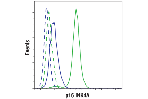 Flow Cytometry Image 1: p16 INK4A (D7C1M) Rabbit mAb (BSA and Azide Free)