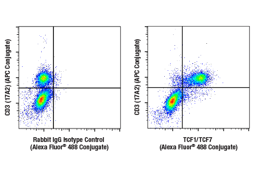 Flow Cytometry Image 1: TCF1/TCF7 (E6O1K) Rabbit mAb (Alexa Fluor® 488 Conjugate)