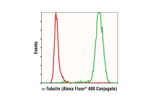 Flow Cytometry Image 1: α-Tubulin (11H10) Rabbit mAb (Alexa Fluor® 488 Conjugate)