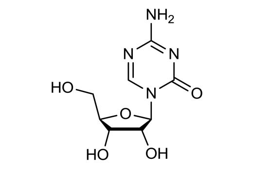  Image 1: 5-Azacytidine