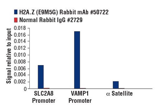 Chromatin Immunoprecipitation Image 1: H2A.Z (E9M5G) Rabbit mAb