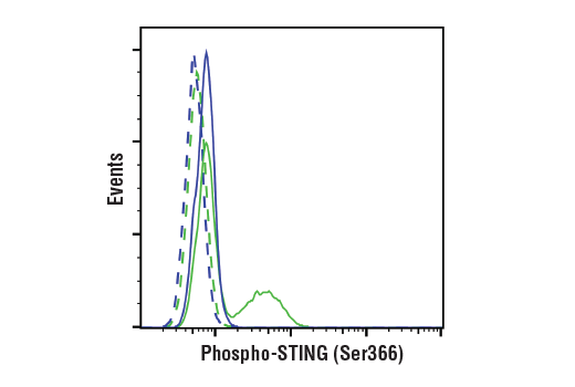 Flow Cytometry Image 1: Phospho-STING (Ser366) (E9A9K) Rabbit mAb