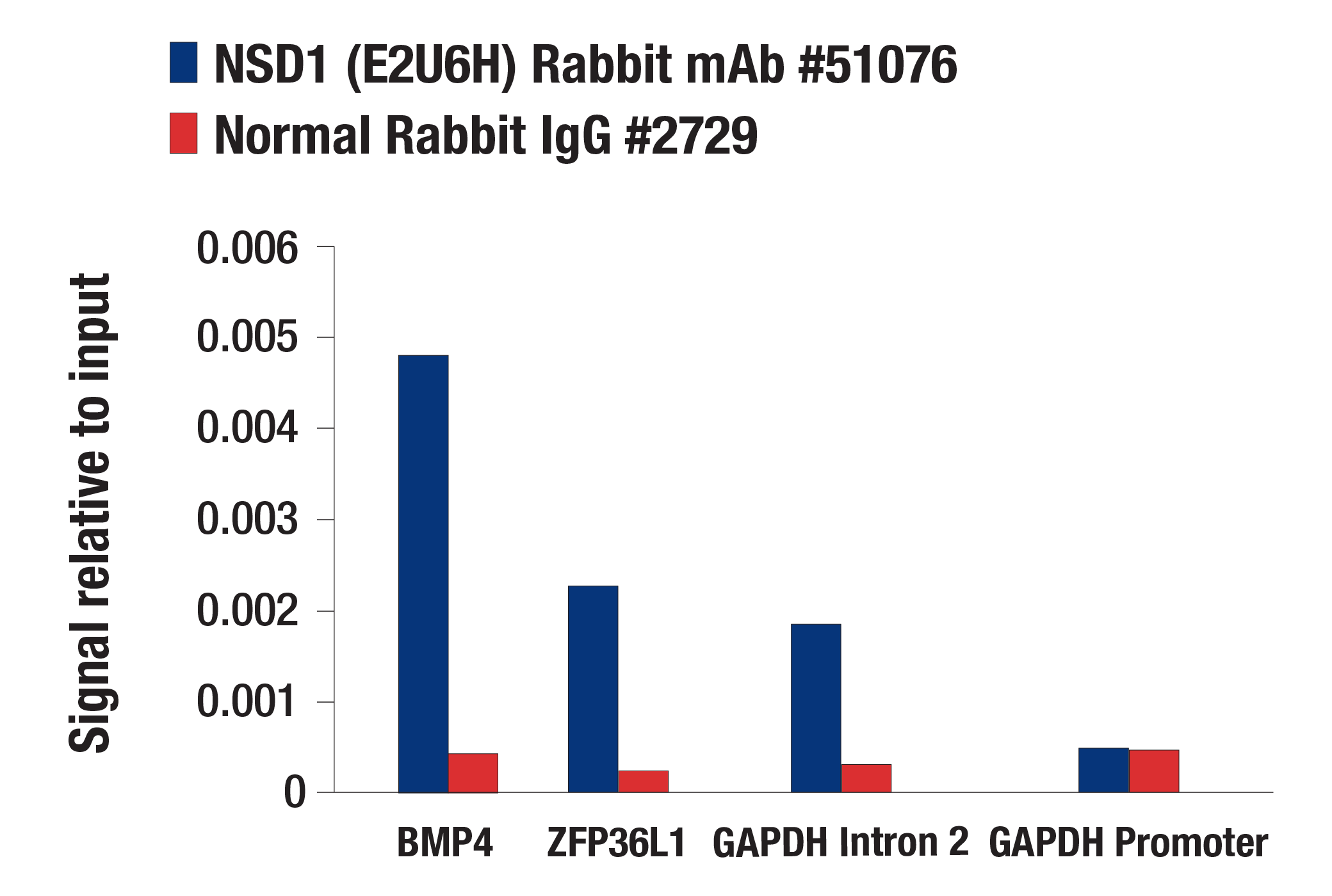 Chromatin Immunoprecipitation Image 1: NSD1 (E2U6H) Rabbit mAb