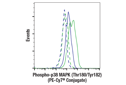 Flow Cytometry Image 1: Phospho-p38 MAPK (Thr180/Tyr182) (3D7) Rabbit mAb (PE-Cy7® Conjugate)