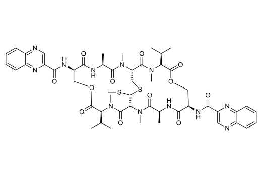  Image 1: Echinomycin