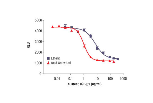  Image 1: Human Latent Transforming Growth Factor β1 (hLatent TGF-β1)