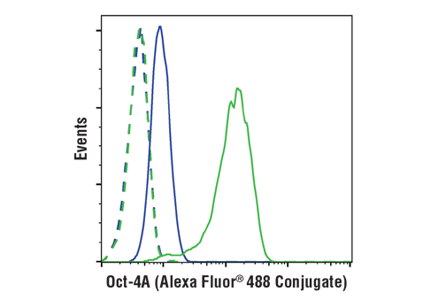 Flow Cytometry Image 1: Oct-4A (C30A3) Rabbit mAb (Alexa Fluor® 488 Conjugate)