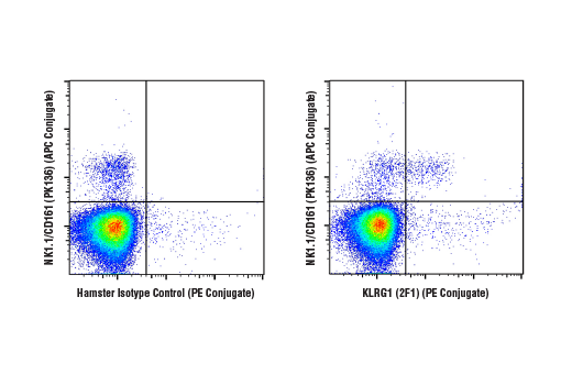 Flow Cytometry Image 1: KLRG1 (2F1) Hamster mAb (PE Conjugate)