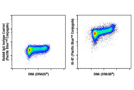 Flow Cytometry Image 1: Ki-67 (D3B5) Rabbit mAb (Pacific Blue™ Conjugate)