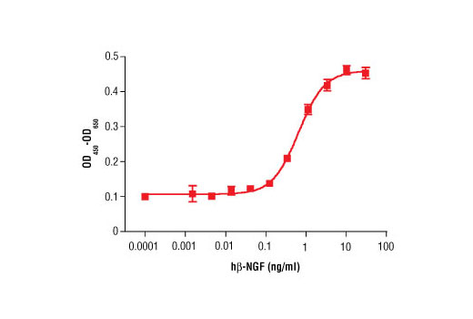  Image 1: Human β-Nerve Growth Factor (hβ-NGF)