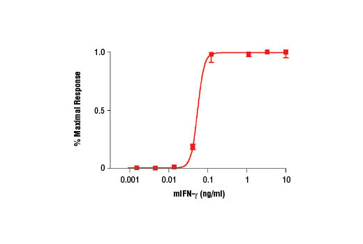  Image 1: Mouse Interferon-γ (mIFN-γ)