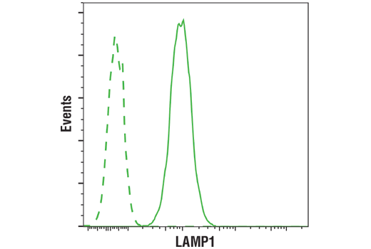 Flow Cytometry Image 1: LAMP1 (D2D11) XP® Rabbit mAb (BSA and Azide Free)