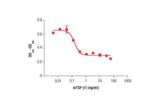  Image 1: Mouse Transforming Growth Factor β1 (mTGF-β1)