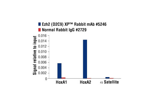 Chromatin Immunoprecipitation Image 3: Ezh2 (D2C9) XP® Rabbit mAb
