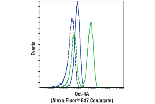Flow Cytometry Image 1: Oct-4A (C30A3) Rabbit mAb (Alexa Fluor® 647 Conjugate)