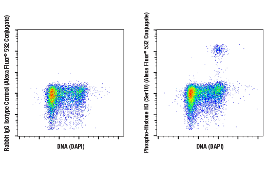 Flow Cytometry Image 1: Phospho-Histone H3 (Ser10) (D2C8) XP® Rabbit mAb (Alexa Fluor® 532 Conjugate)