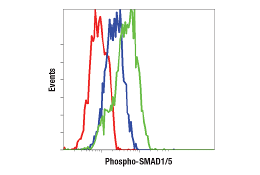 Flow Cytometry Image 1: Phospho-SMAD1/5 (Ser463/465) (41D10) Rabbit mAb (BSA and Azide Free)