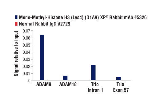 Chromatin Immunoprecipitation Image 3: Mono-Methyl-Histone H3 (Lys4) (D1A9) XP® Rabbit mAb