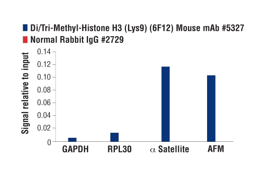 Chromatin Immunoprecipitation Image 1: Di/Tri-Methyl-Histone H3 (Lys9) (6F12) Mouse mAb