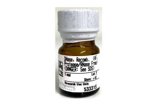  Image 1: Deoxyribonuclease I, Recombinant (Animal-Free, Protease and RNase Free)