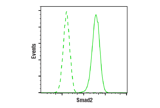 Flow Cytometry Image 1: Smad2 (D43B4) XP® Rabbit mAb