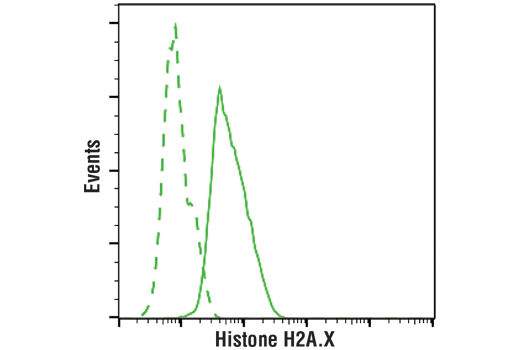 Flow Cytometry Image 1: Histone H2A.X (D17A3) XP® Rabbit mAb (PE Conjugate)
