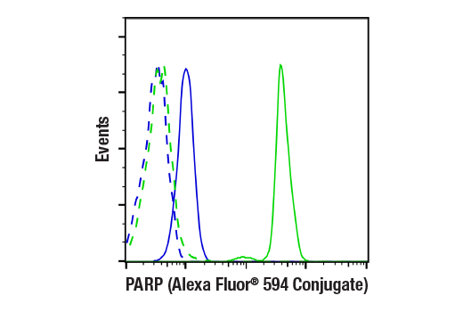 Flow Cytometry Image 1: PARP (46D11) Rabbit mAb (Alexa Fluor® 594 Conjugate)