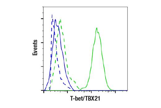 Flow Cytometry Image 2: T-bet/TBX21 (E4I2K) Rabbit mAb (BSA and Azide Free)