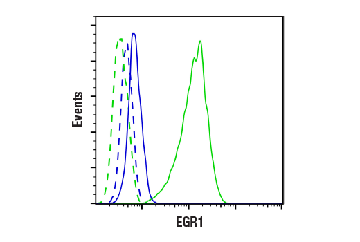 Flow Cytometry Image 1: EGR1 (44D5) Rabbit mAb (BSA and Azide Free)