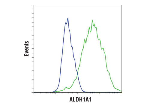 Flow Cytometry Image 1: ALDH1A1 (D9Q8E) XP®Rabbit mAb
