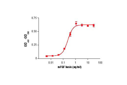  Image 1: Mouse Basic Fibroblast Growth Factor (mFGF basic/FGF2)