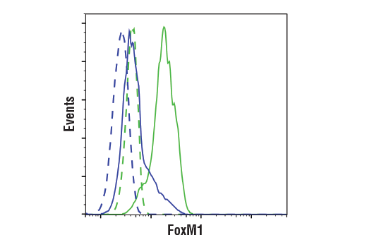 Flow Cytometry Image 1: FoxM1 (D3F2B) Rabbit mAb (Flow Formulated)