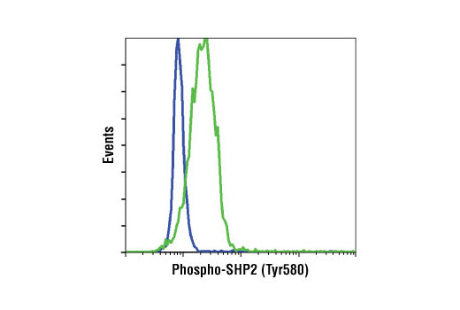 Flow Cytometry Image 1: Phospho-SHP-2 (Tyr580) (D66F10) Rabbit mAb