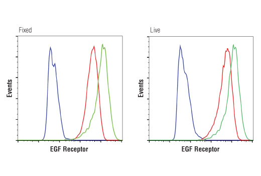 Flow Cytometry Image 2: EGF Receptor (D1D4J) XP® Rabbit mAb