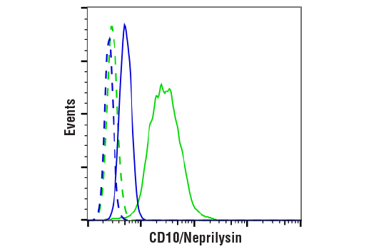 Flow Cytometry Image 1: CD10/Neprilysin (E5P7S) Rabbit mAb (BSA and Azide Free)