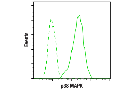 Flow Cytometry Image 1: p38 MAPK (D13E1) XP® Rabbit mAb (BSA and Azide Free)
