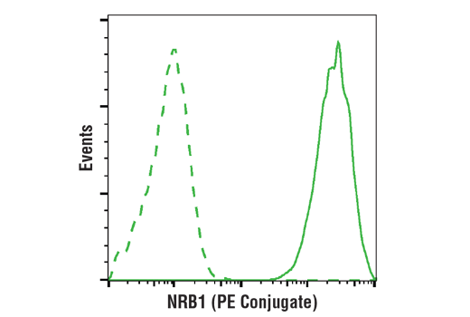 Flow Cytometry Image 1: NBR1 (D2E6) Rabbit mAb (PE Conjugate)