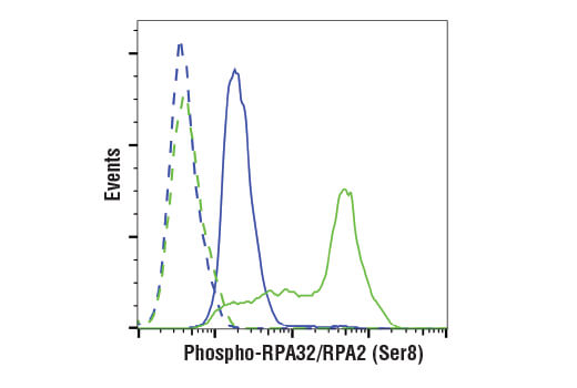 Flow Cytometry Image 1: Phospho-RPA32/RPA2 (Ser8) (E5A2F) Rabbit mAb