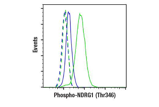 Flow Cytometry Image 1: Phospho-NDRG1 (Thr346) (D98G11) XP® Rabbit mAb