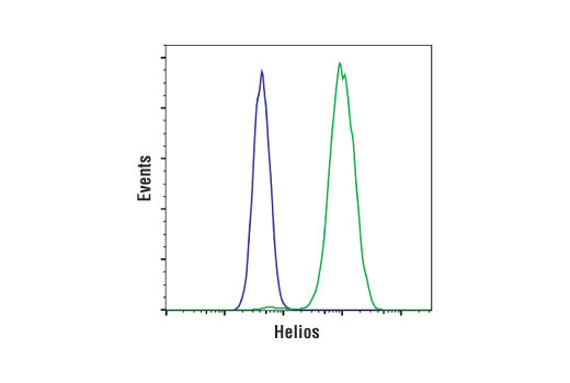 Flow Cytometry Image 1: Helios (D4Z6D) Rabbit mAb (BSA and Azide Free)