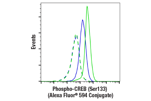 Flow Cytometry Image 1: Phospho-CREB (Ser133) (87G3) Rabbit mAb (Alexa Fluor® 594 Conjugate)